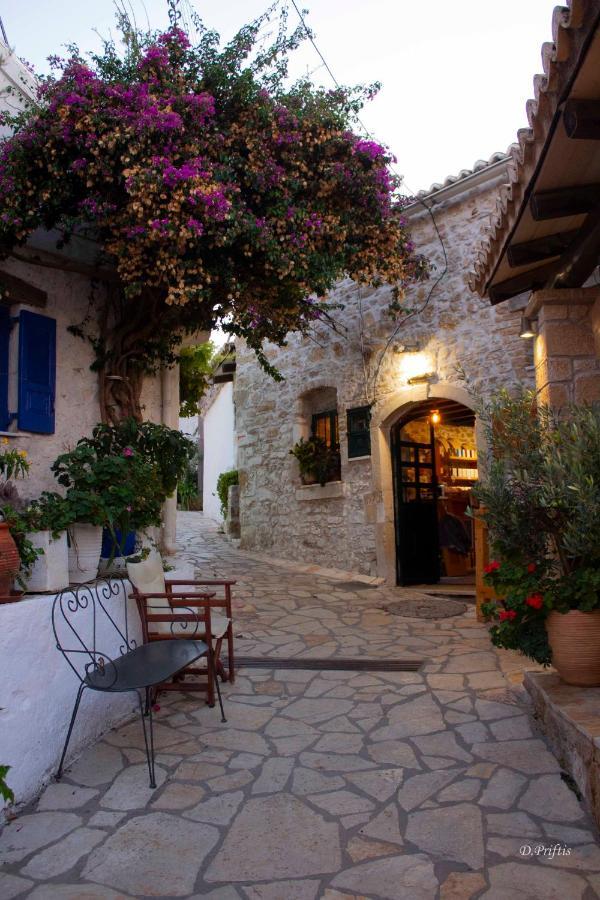 Villa Christine Afionas Corfu エクステリア 写真